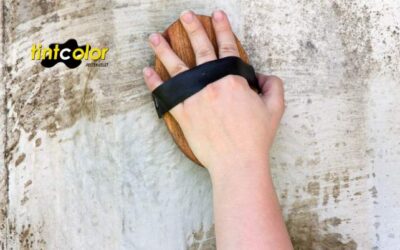 Mosható és dörzsálló falfestékek – Teljes útmutató a TINT COLOR-tól, a 16. kerület festékbolt szakértőitől