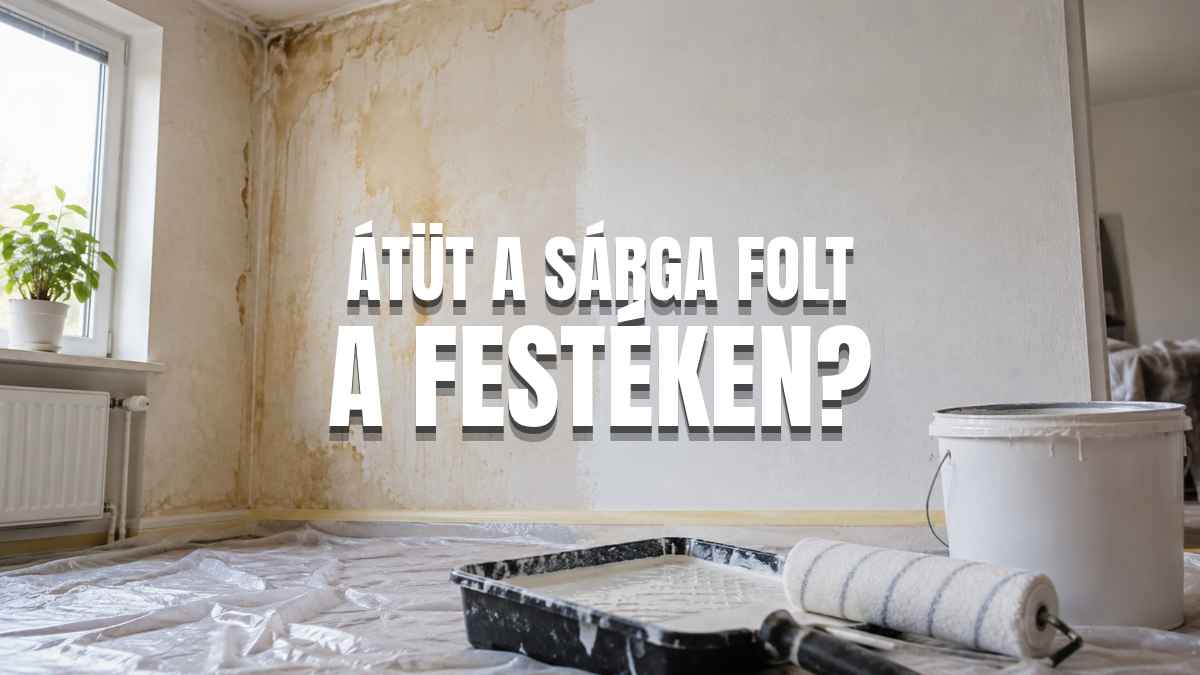 Beázás miatt sárgás foltokkal elszíneződött fal és fehérre festett felület festőhengerrel, foltzáró alapozás témájában.